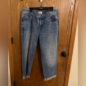 Lane Bryant Women's Blue Ankle Jeans